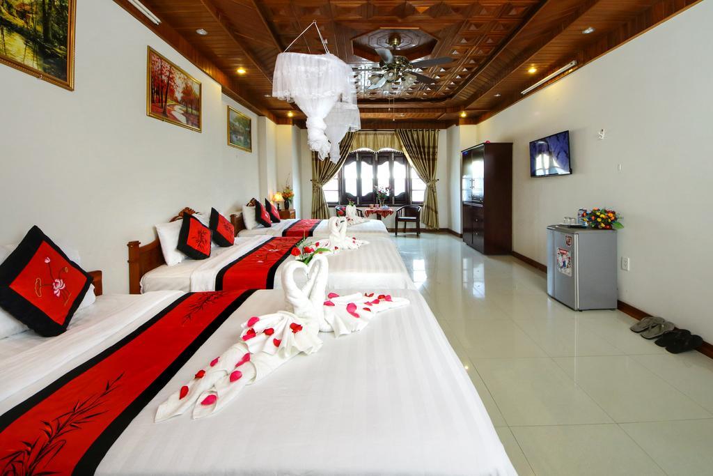 Hoa Mau Don Hội An